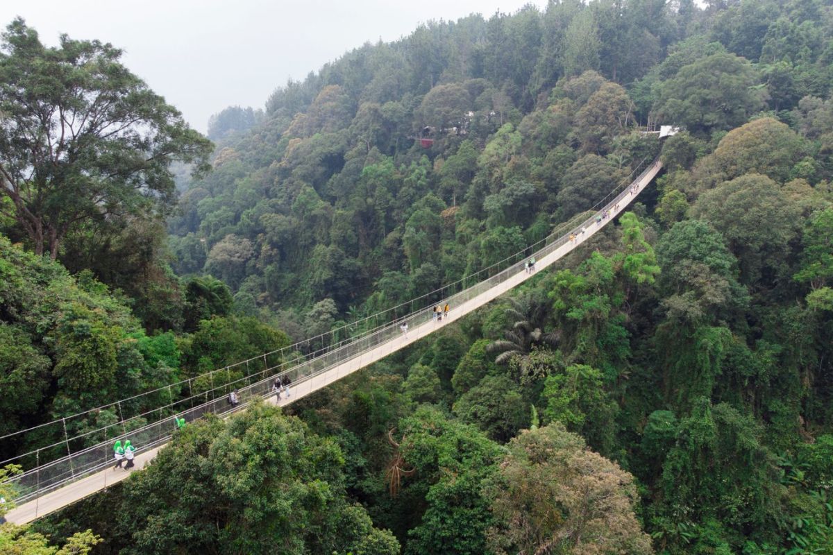 Wisata Alam di Situ Gunung Sukabumi: Jembatan Gantung Terpanjang